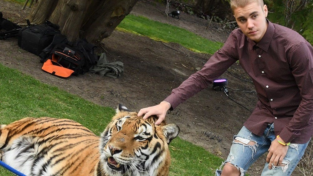 Justin Bieber gets buzzed by PETA and Britney Spears depo time 2016 gossip Justin Bieber gets buzzed by PETA and Britney Spears depo time 2016 gossip