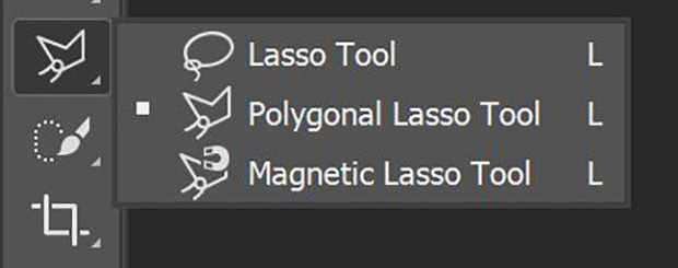 Guide to the Lasso Tool in Photoshop