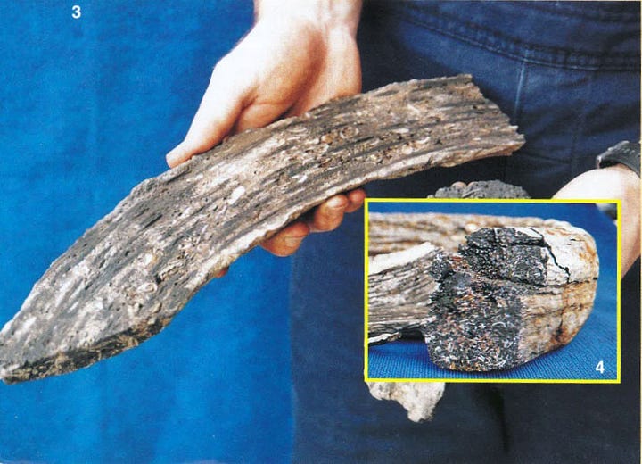 petrified roll of farm wire on left, petrified pliers on right.