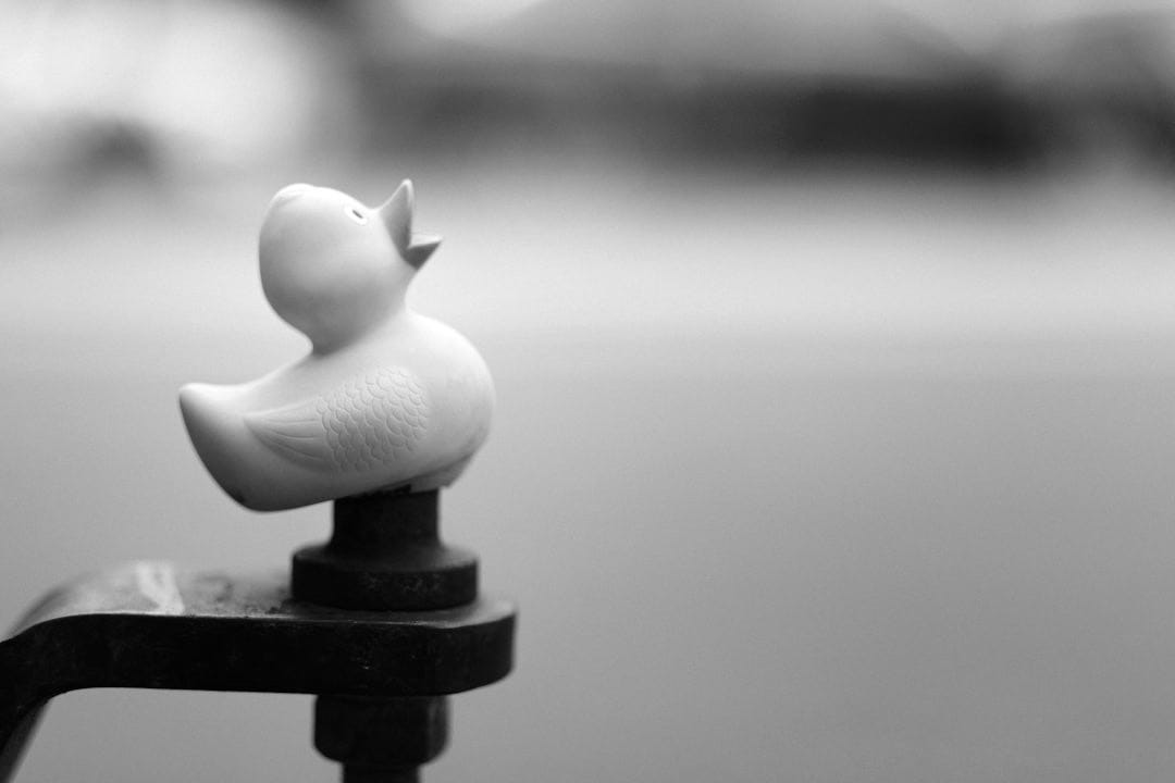 A rubber ducky sitting on top of a black pole A rubber ducky sitting on top of a black pole