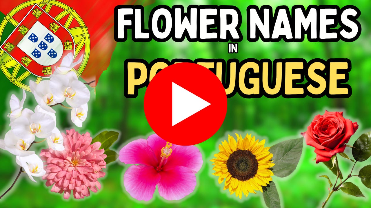 The Language of Flowers in Portuguese, image size:1280x720