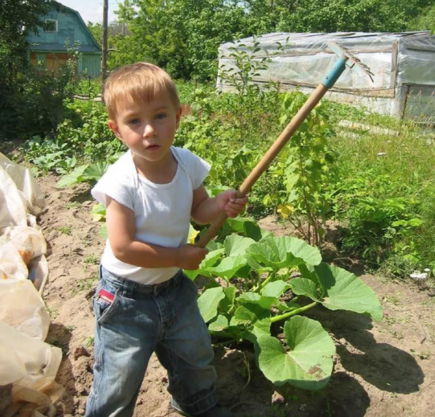 A child holding a rake in a garden
AI-generated content may be incorrect.