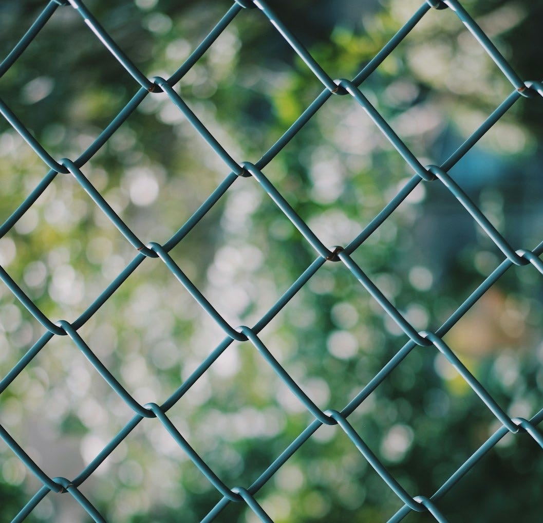 green metal fence during daytime