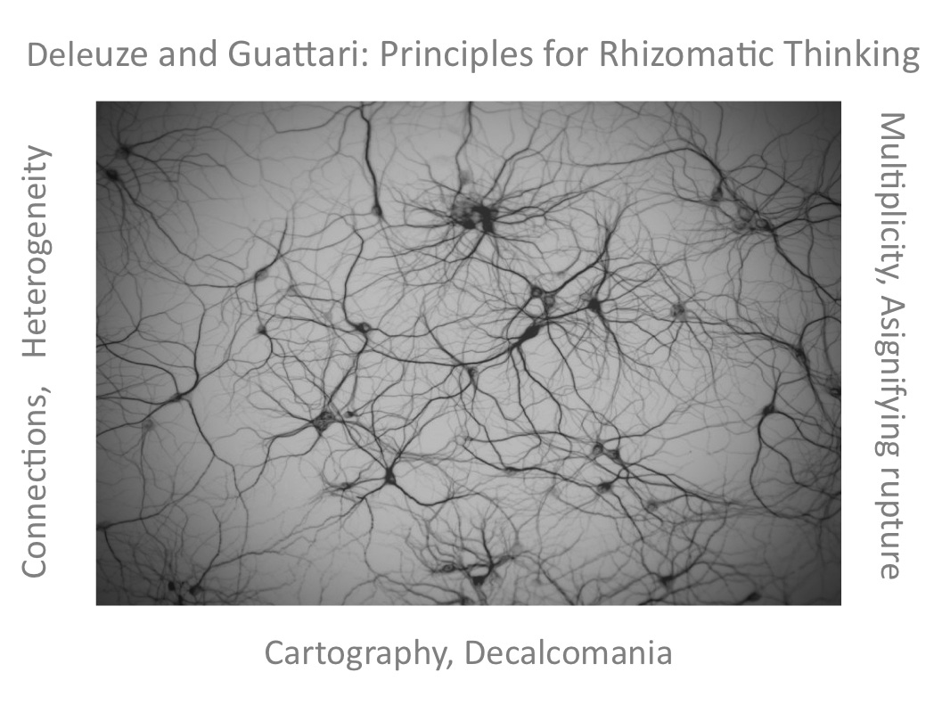 Principles for Rhizomatic Thinking – Jenny Connected