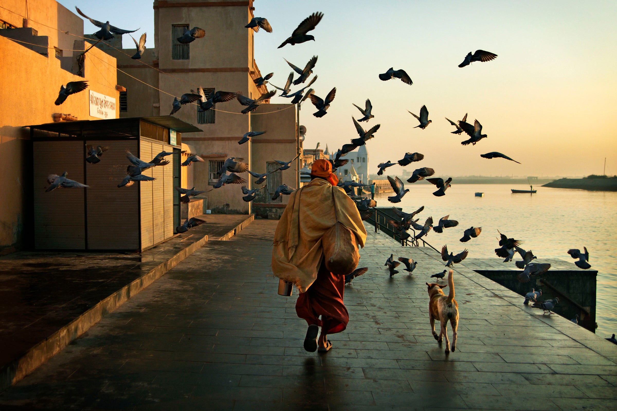 A person in traditional clothing walks with a dog along a riverside at sunrise, surrounded by flying pigeons and historic buildings under a golden sky.