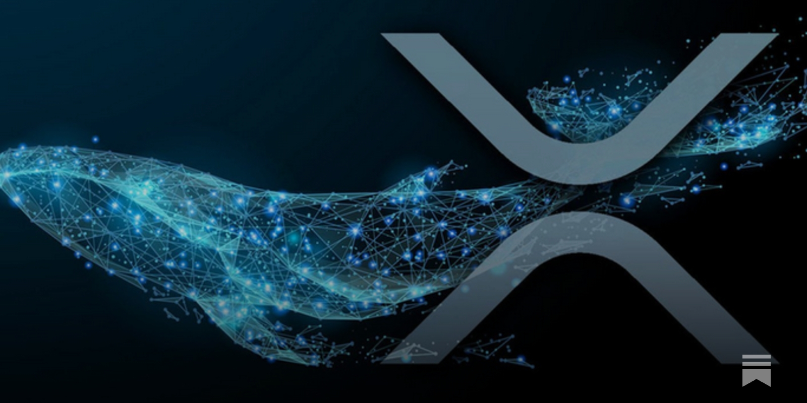 XRP Asset Holders - by Douglas J Boggs