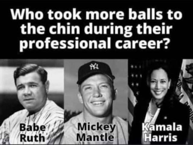 r/ConservativeMemes - I'll put my money on #3