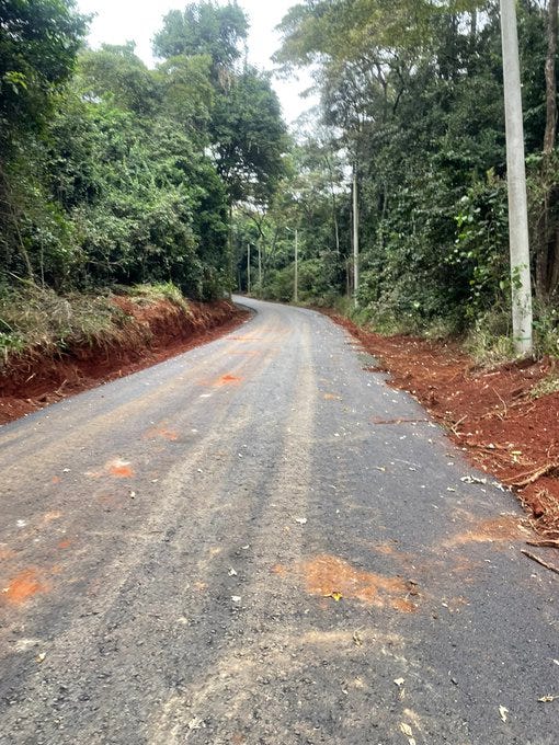 A paved tarmac road winding through a dense forest. The road is flanked by lush green trees and vegetation on both sides, with reddish-brown soil visible along the edges. The path curves gently into the distance, surrounded by tall trees and undergrowth. A paved tarmac road winding through a dense forest. The road is flanked by lush green trees and vegetation on both sides, with reddish-brown soil visible along the edges. The path curves gently into the distance, surrounded by tall trees and undergrowth.