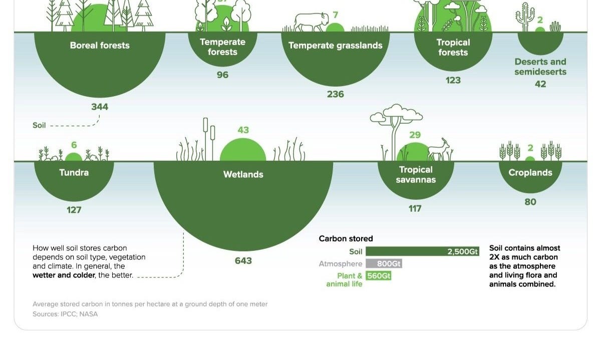 Biochar's Carbon Storage Potential in Permaculture