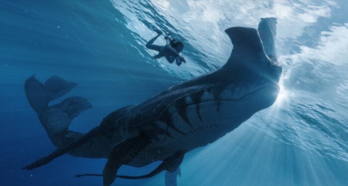 Toward understanding the communication in sperm whales