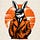 The White Rabbit Report