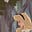 𖤓˹َِِْالرَونـق ࣪𖤝 ݊ ࣪'s avatar
