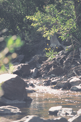 Water Sun GIF Water Sun GIF
