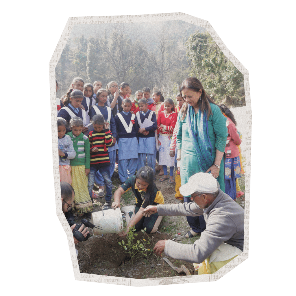 2010 timeline graphic