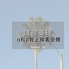 ✨護理藥理 - α和β腎上腺素受體✨