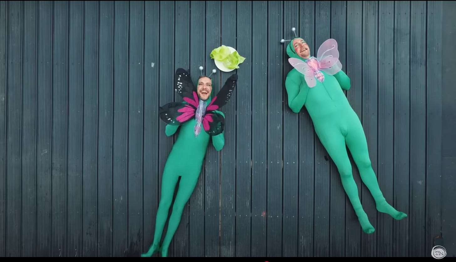 Mathew Baynton and Little Alex Horne are lying on their backs, wearing green body suits with butterfly wings around their faces.