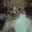 Marycat2021's avatar