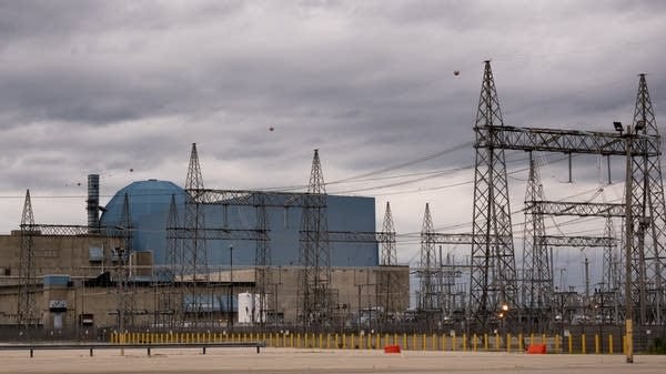 Small Modular Reactors are attractive to tech companies with energy-hungry data centers, but scientists are a decade away from building them.