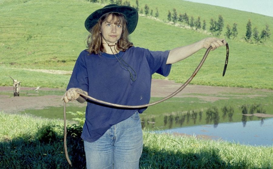 The plight of the Giant Gippsland Earthworm - Australian Geographic