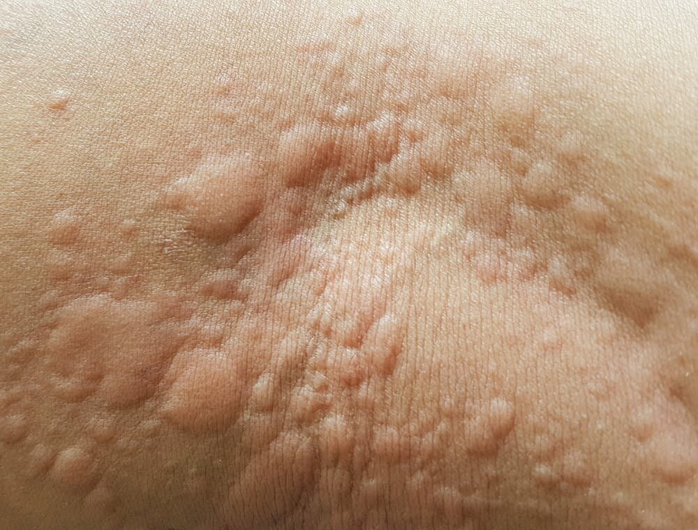 https://scx2.b-cdn.net/gfx/news/2019/1-whatarehives.jpg