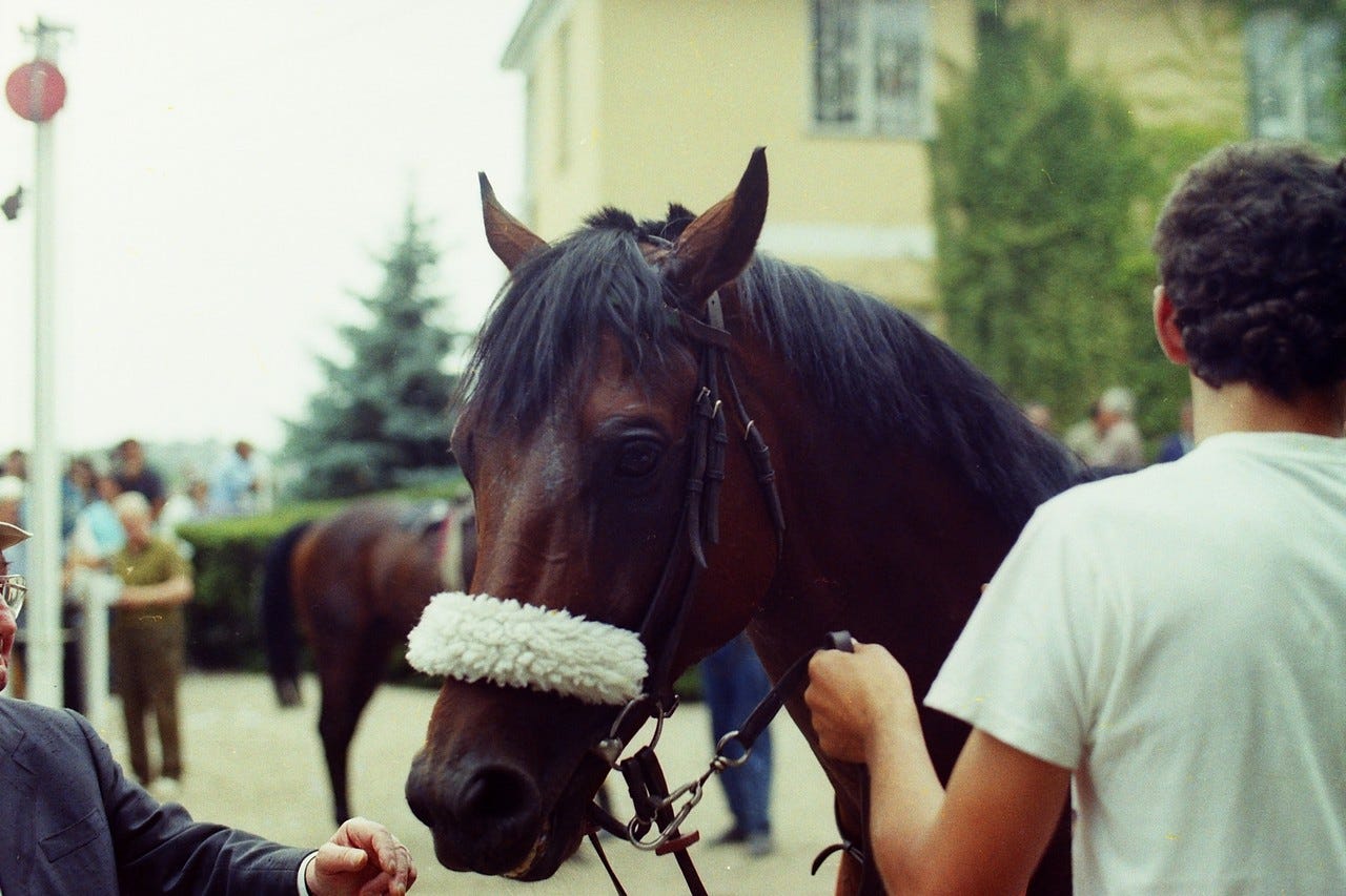 Ryan’s Gift pályafutása