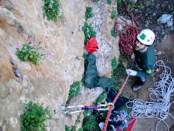 El GSM (Grup de Suport de Muntanya) del Cos d’Agents Rurals de la Generalitat de Catalunya desmontant vies d'escalada que afectaven directamente a l'espècie protegida del Clavell de Balma, o Clavell de Roca (o Petrocoptis crassifolia subsp. montsicciana). El GSM (Grup de Suport de Muntanya) del Cos d’Agents Rurals de la Generalitat de Catalunya desmontant vies d'escalada que afectaven directamente a l'espècie protegida del Clavell de Balma, o Clavell de Roca (o Petrocoptis crassifolia subsp. montsicciana).