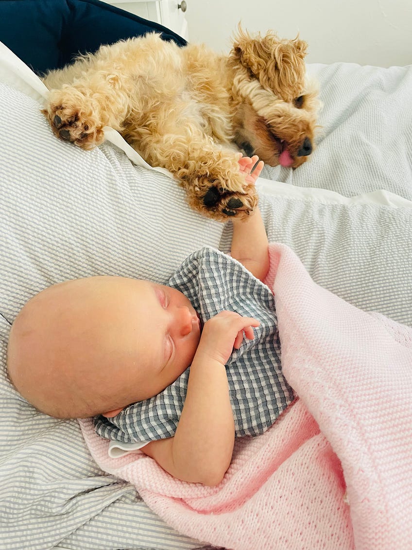 Life as a single postpartum mum with Ella and Amber
