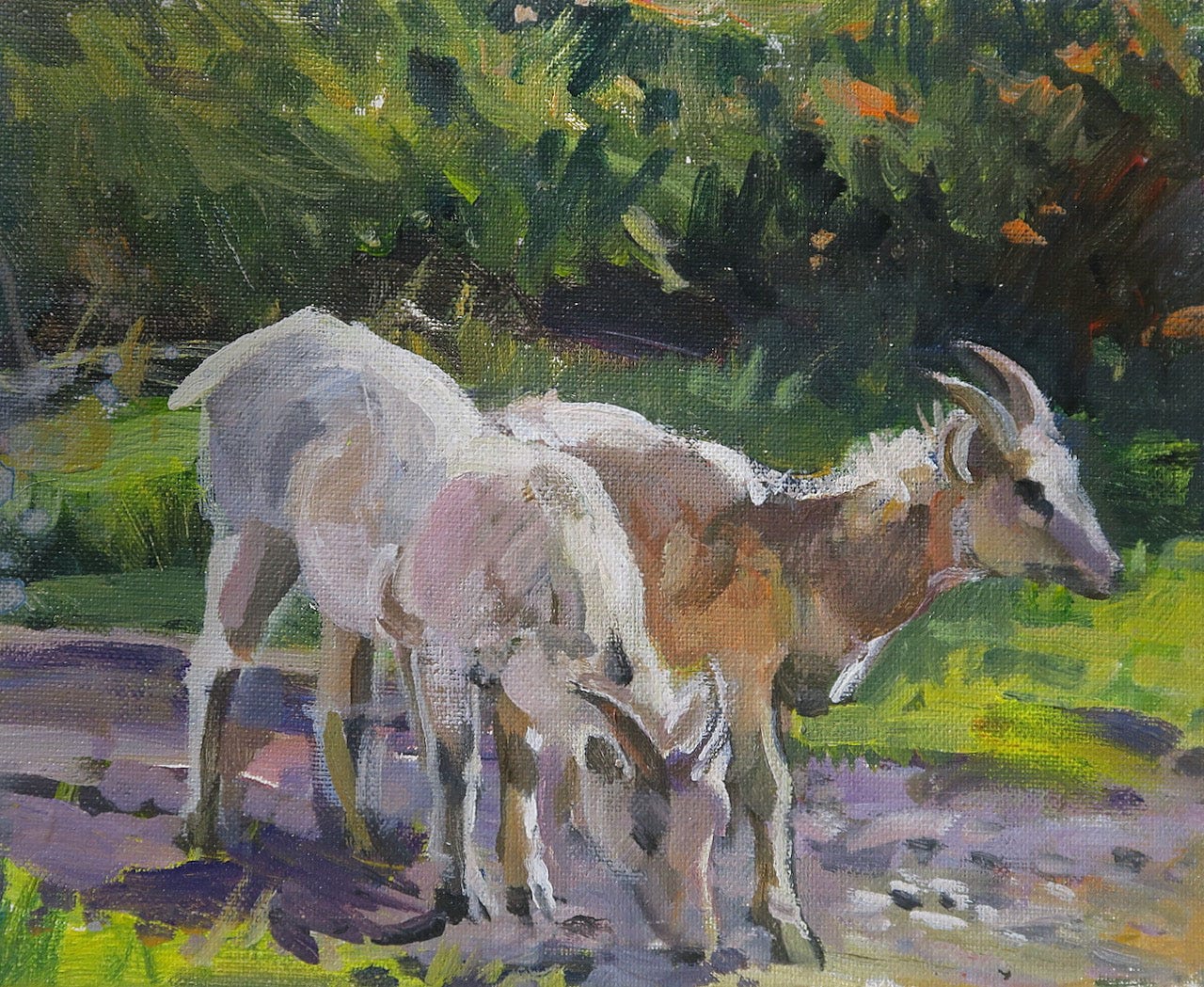 A painting of goats grazing
Description automatically generated A painting of goats grazing
Description automatically generated
