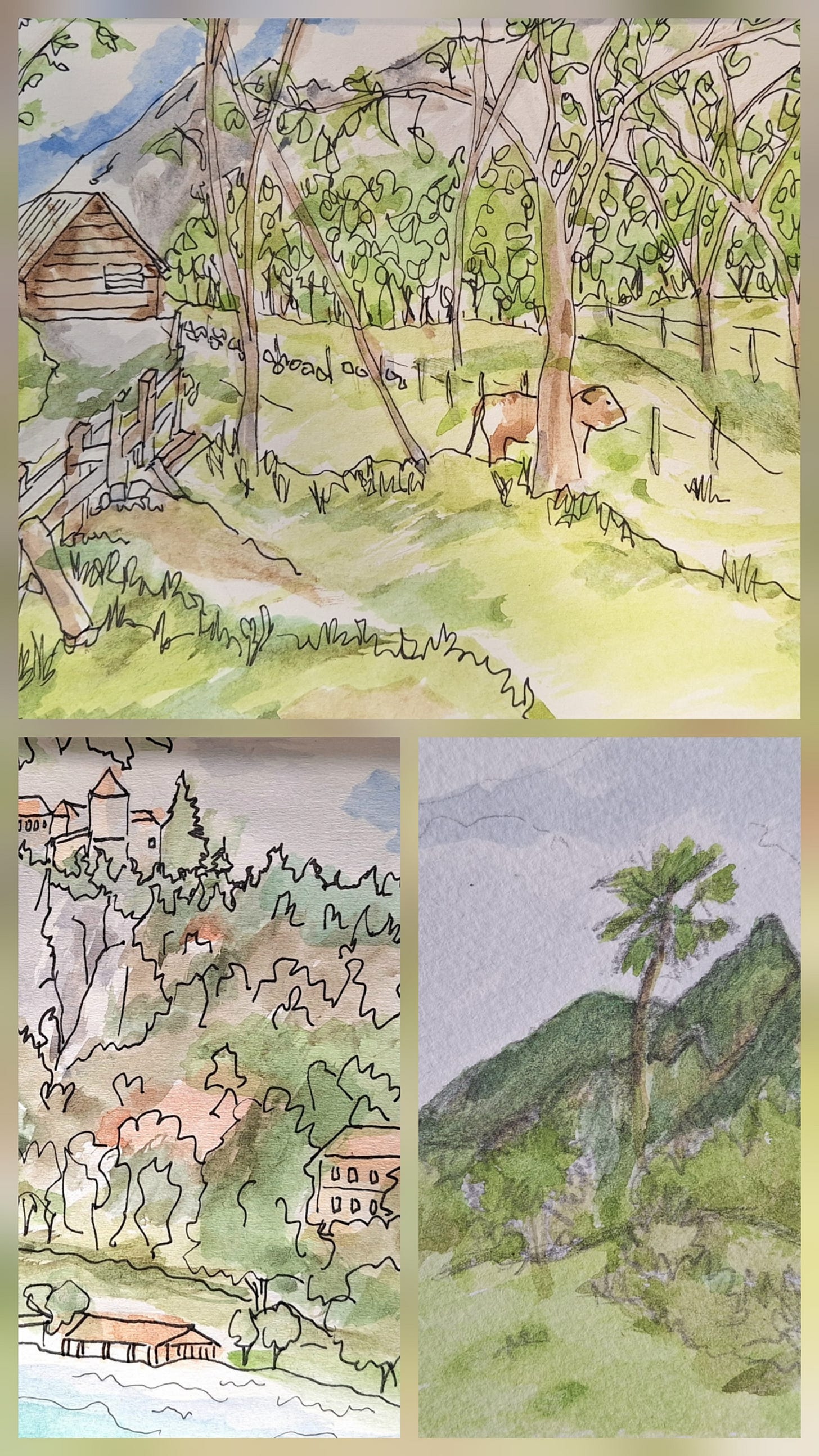 Pen and ink with watercolour sketches of green rural landscapes in 3 countries.  Mountains and rice paddies in Cambodia, a mountain hut, fields and cows in Serbia and a lake, forest and mountains in Slovenia.