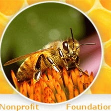 Beezone Library