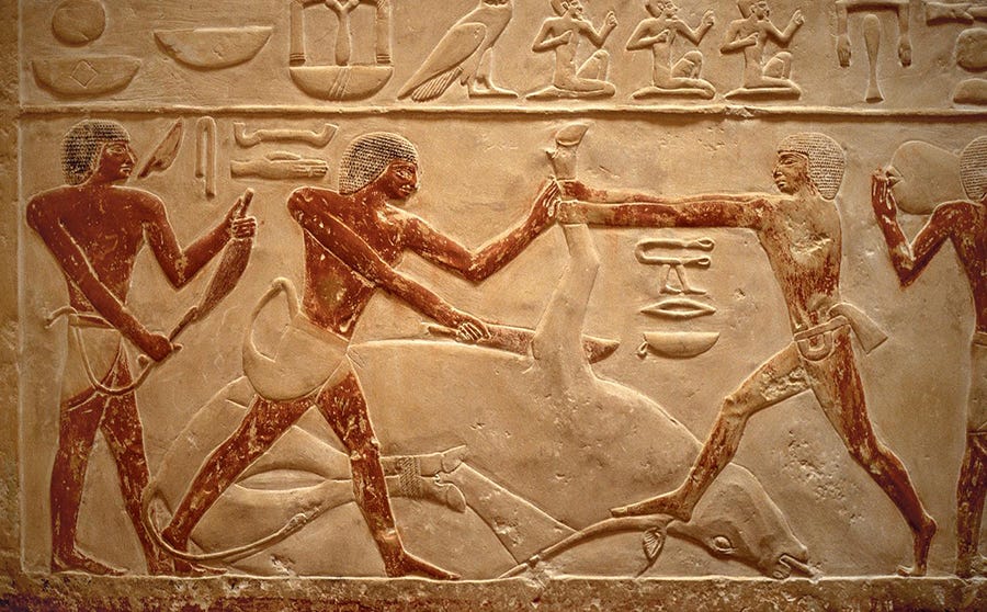 Feeding and Supplying the City - The Complete Cities of Ancient Egypt
