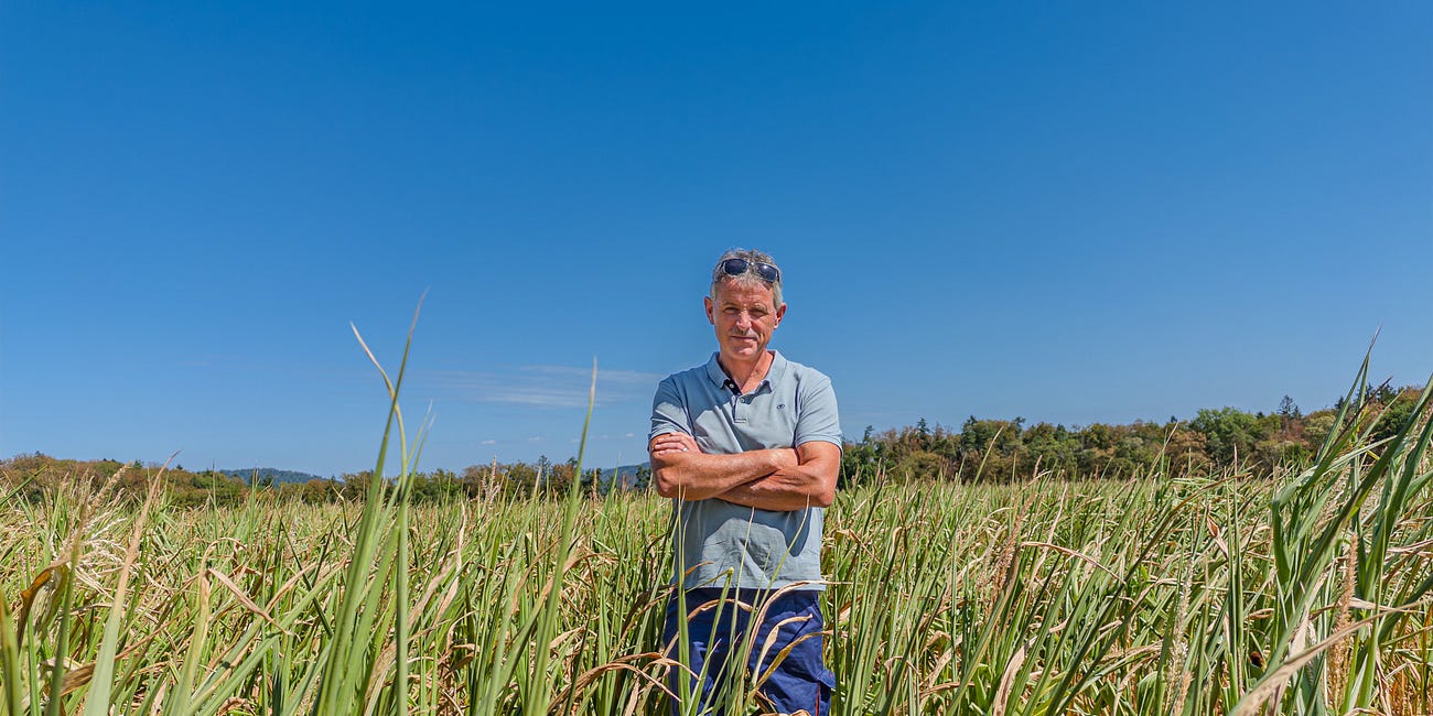 Slow Water: Wie Bauern im Dürresommer 2026 das Wasser auf dem Acker halten
