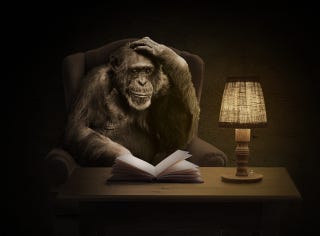 Monkey book pxfuel.com