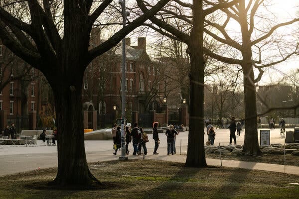Students walk along a sunlit plaza near Harvard’s brick campus buildings.