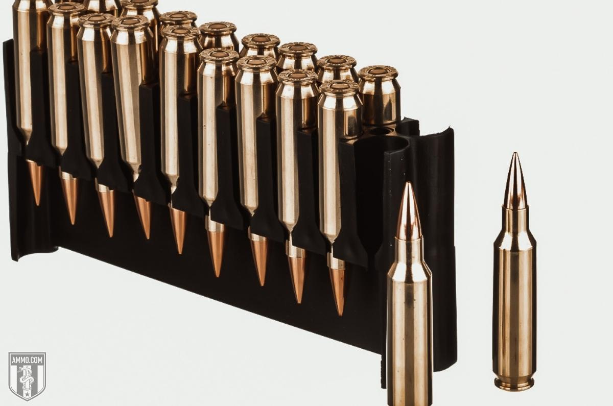 22 Nosler ammo for sale