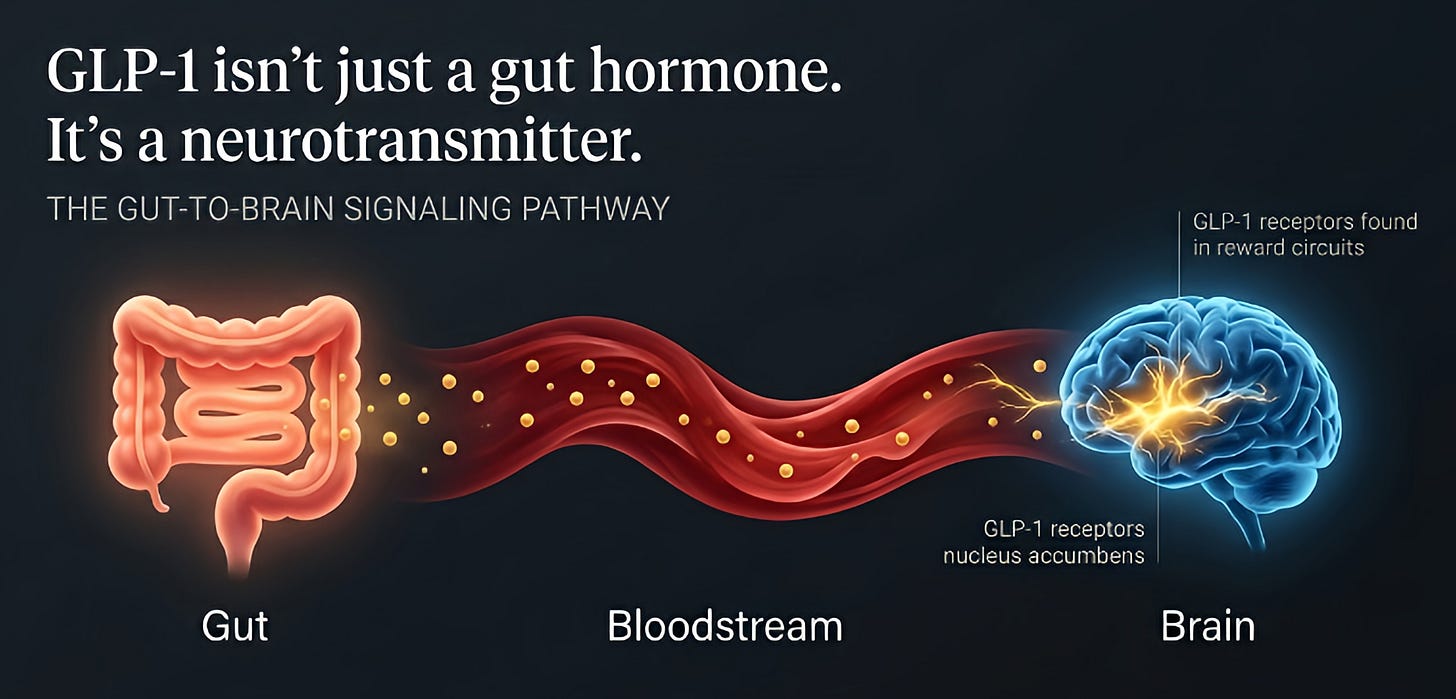 millipore glp 1 elisa Human, Mouse, Rat, GLP-1 Active ELISA Millipore