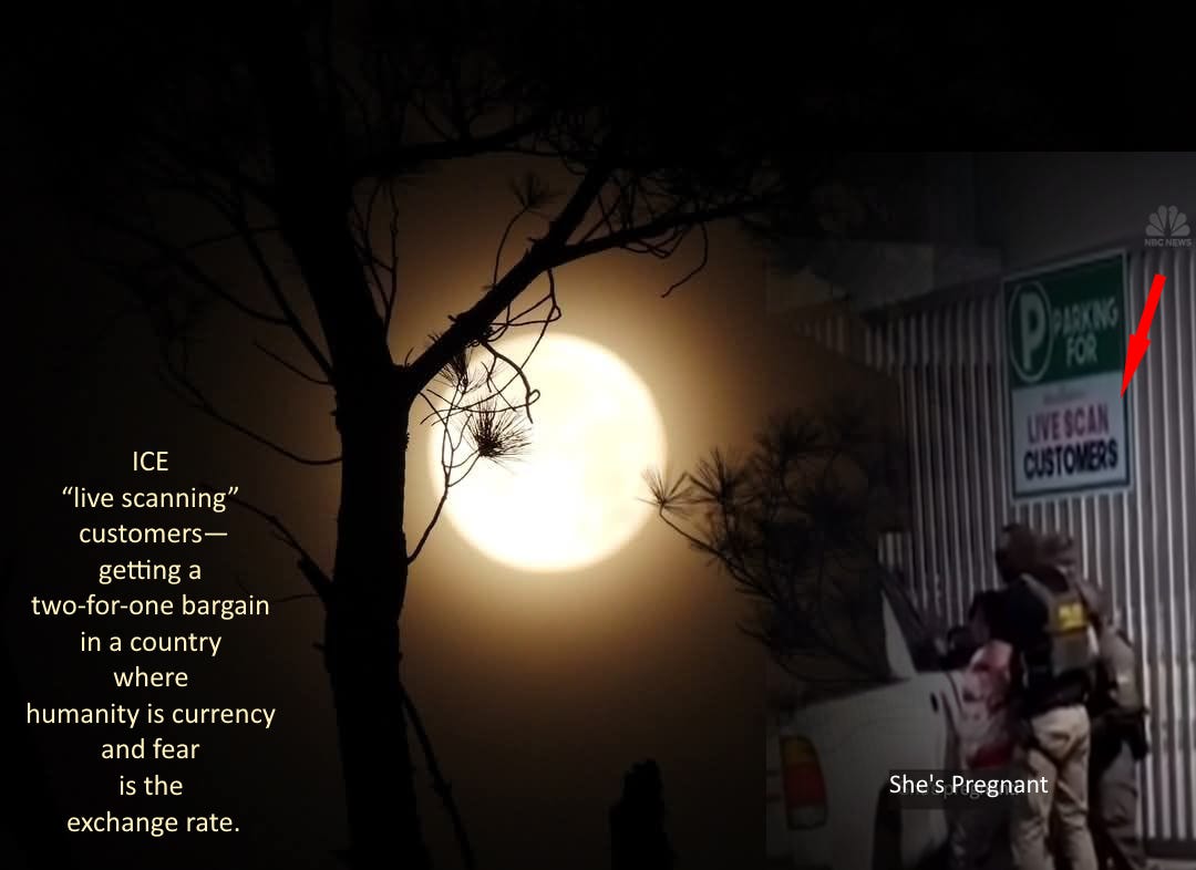 A haunting image shows a bright full moon partially obscured by silhouetted branches. On the right side, ICE agents detain a pregnant woman against a white pickup truck. A red arrow points to a sign that reads “Live Scan Customers.” Overlaid text reads: “ICE ‘live scanning’ customers—getting a two-for-one bargain in a country where humanity is currency and fear is the exchange rate.”