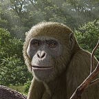 Primatology.net
