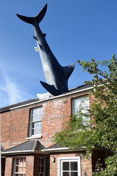 shark_2018.jpg