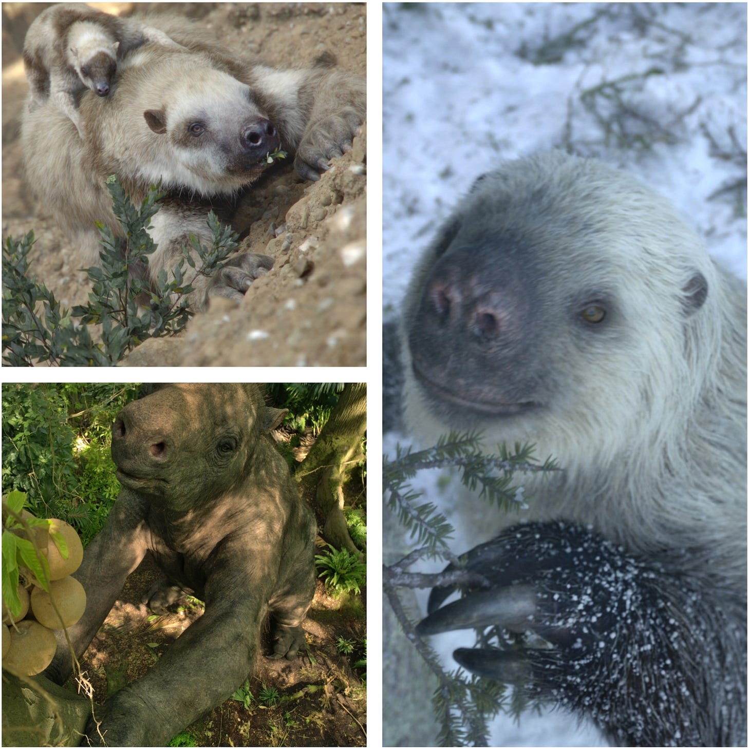 The ground sloths Diabolotherium, Eeremotherium, and Megalonyx.
