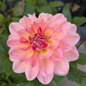 [gem] GTM Orchestrator 