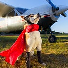 Recipe for a great startup dev team