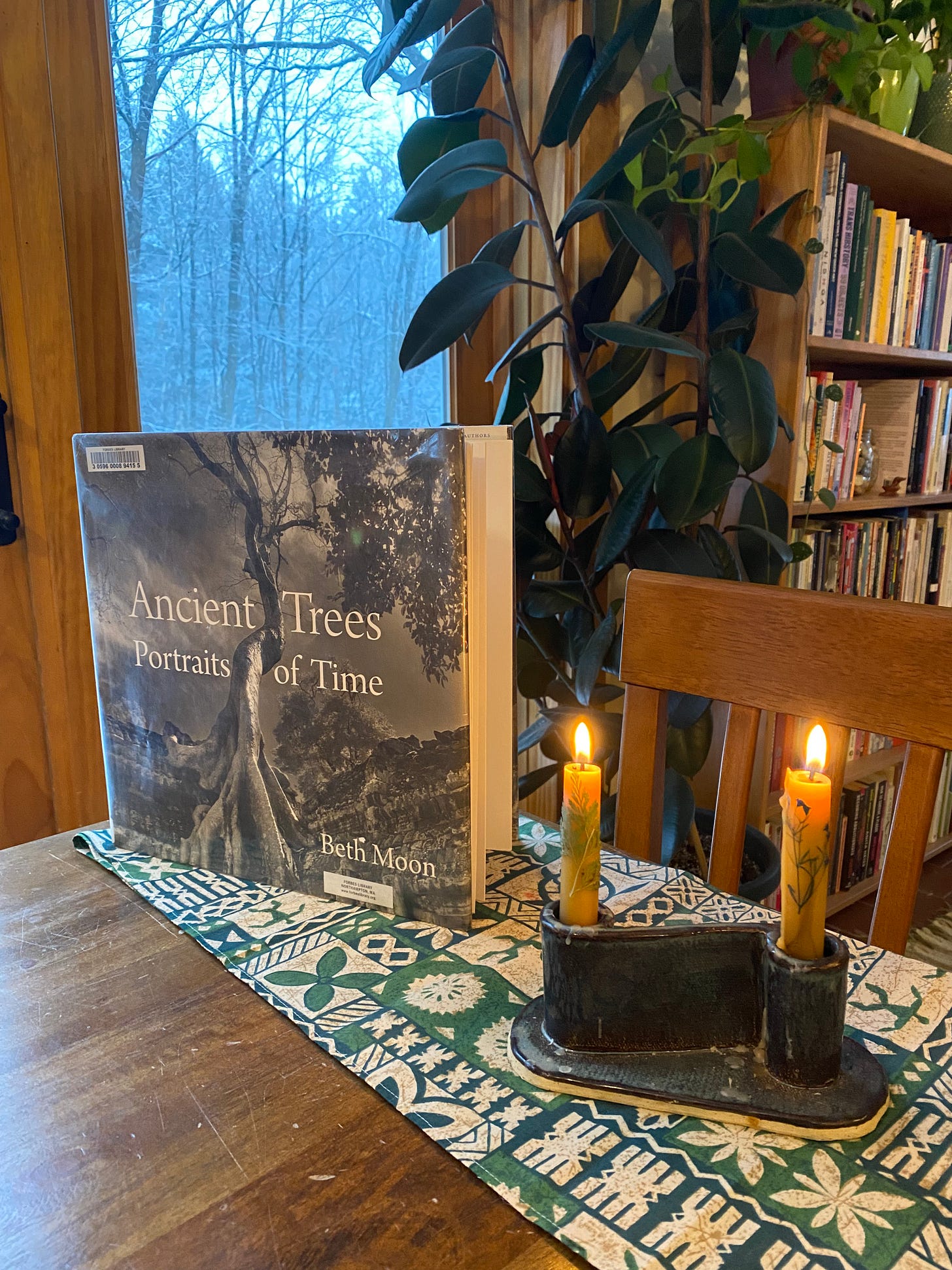 This book is perched on a table next to a pair of lit candles on a green patterned cloth, in front of a bookcase and tall rubber plant.
