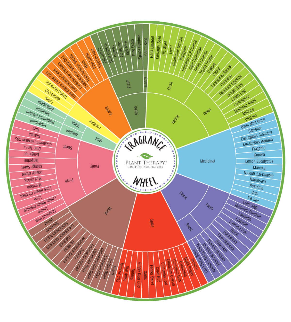 The Beginner's Guide to Aromatherapy - by Michelle Sadowski