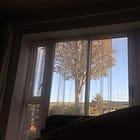 I survived only because I am a writer.