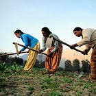 India's Agriculture Theory of Everything
