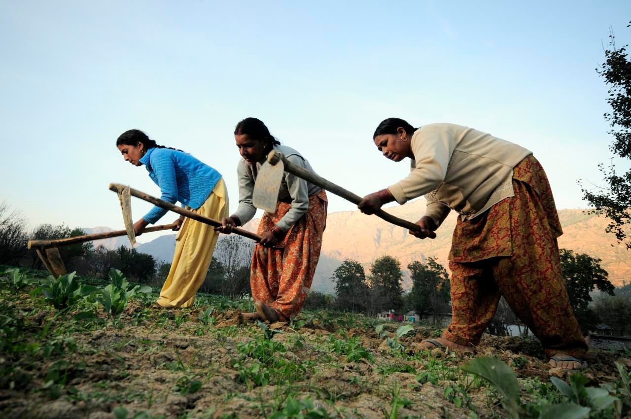Women in agriculture in India - Wikipedia