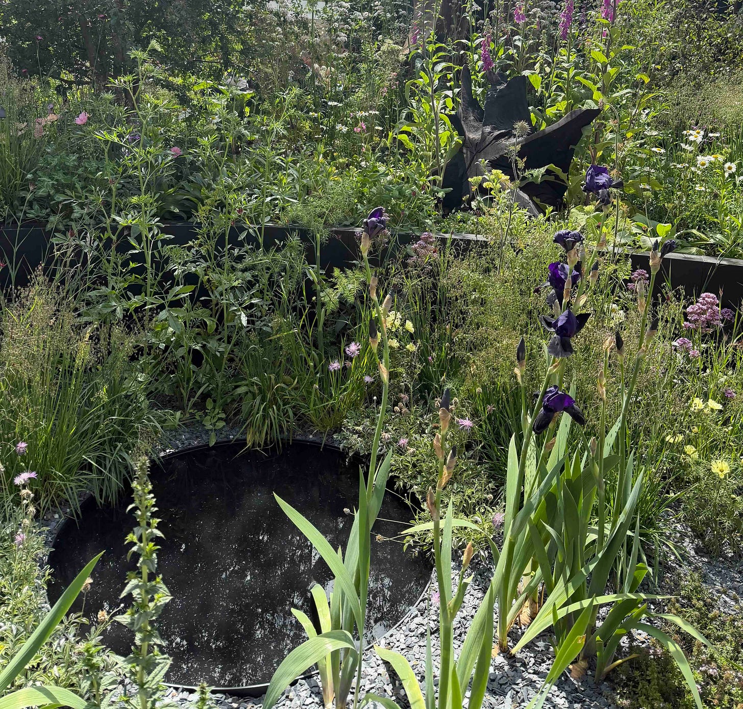 Small gardens can become important wildlife habitats