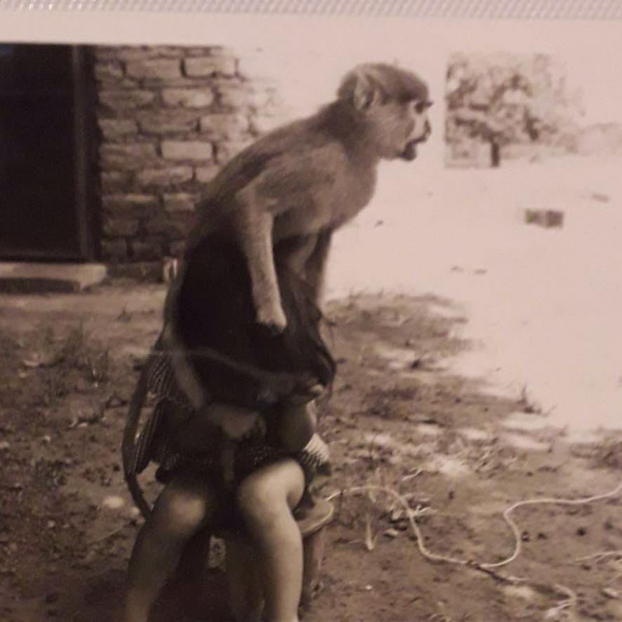 Demotivations With Anne