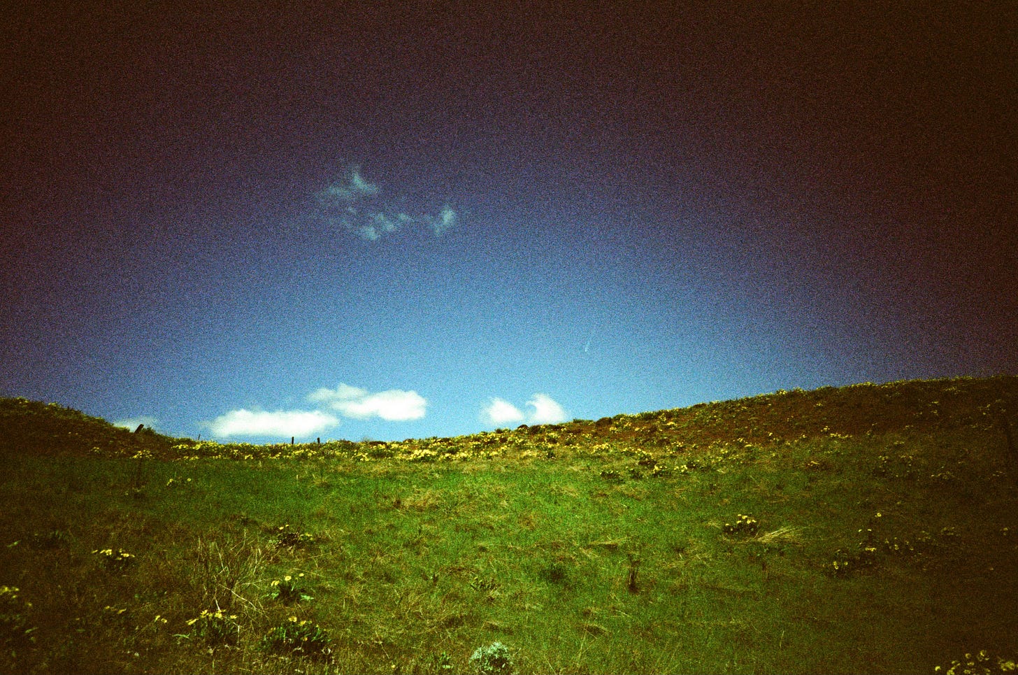 A highly saturated photo of green grass, tiny yellow flowers, and a big blue sky.